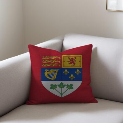 Woven Pillows